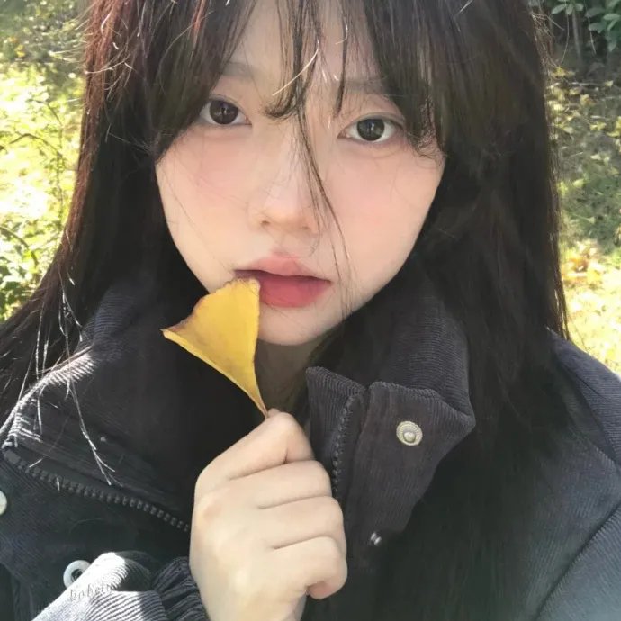 北方往事